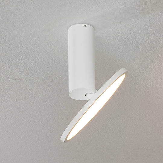 LED-kattovalaisin Morgan, säädettävä, valkoinen