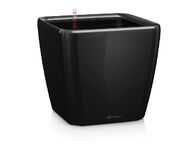 Lechuza Quadro Premium 50 Altakasteluruukku, musta (All-in-one)