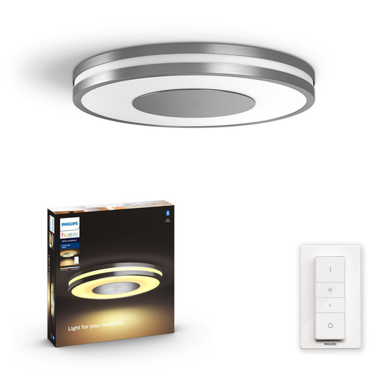 Being ceiling lamp aluminum 1x40W 230V (alumiini)