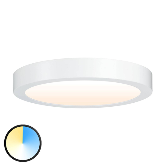 Paulmann Carpo -LED-kattovalaisin pyöreä, 30 cm