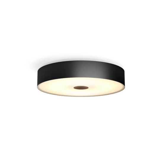 25W Fair Hue Ceiling Lamp Black