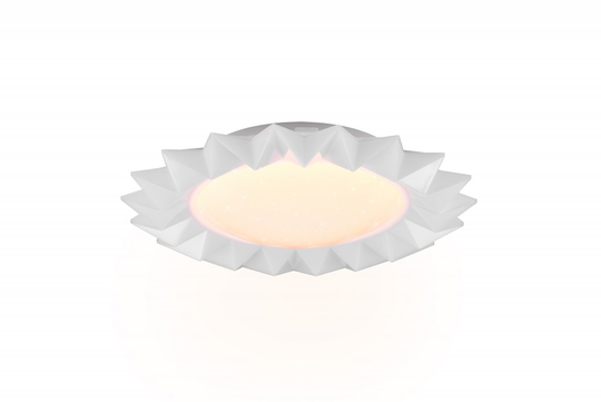Sunflower LED ceiling