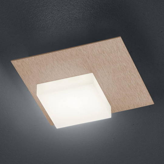 BANKAMP Cube LED-kattovalaisin 8W, ruusukulta
