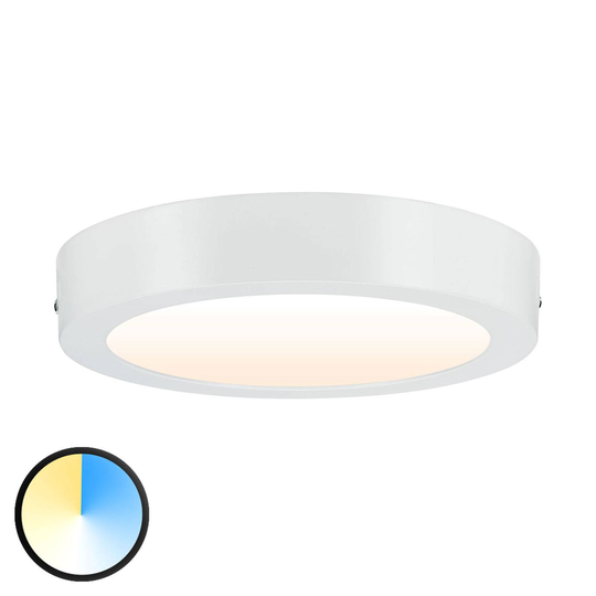 Paulmann Carpo -LED-kattovalaisin, pyöreä 22,5 cm