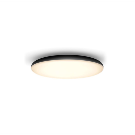 24W Cher Hue Ceiling Lamp Black