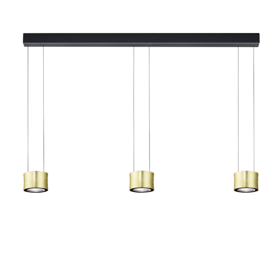 BANKAMP Luce elevata Impulse 3x, lehtikulta/musta