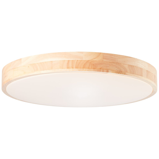 Slimline Wall and Ceiling Lamp